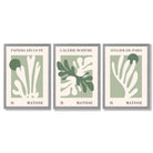 Set of 3 Matisse Cutout Botanical Sage Green and Cream Framed Wall Art with Light Grey Wooden Frames
