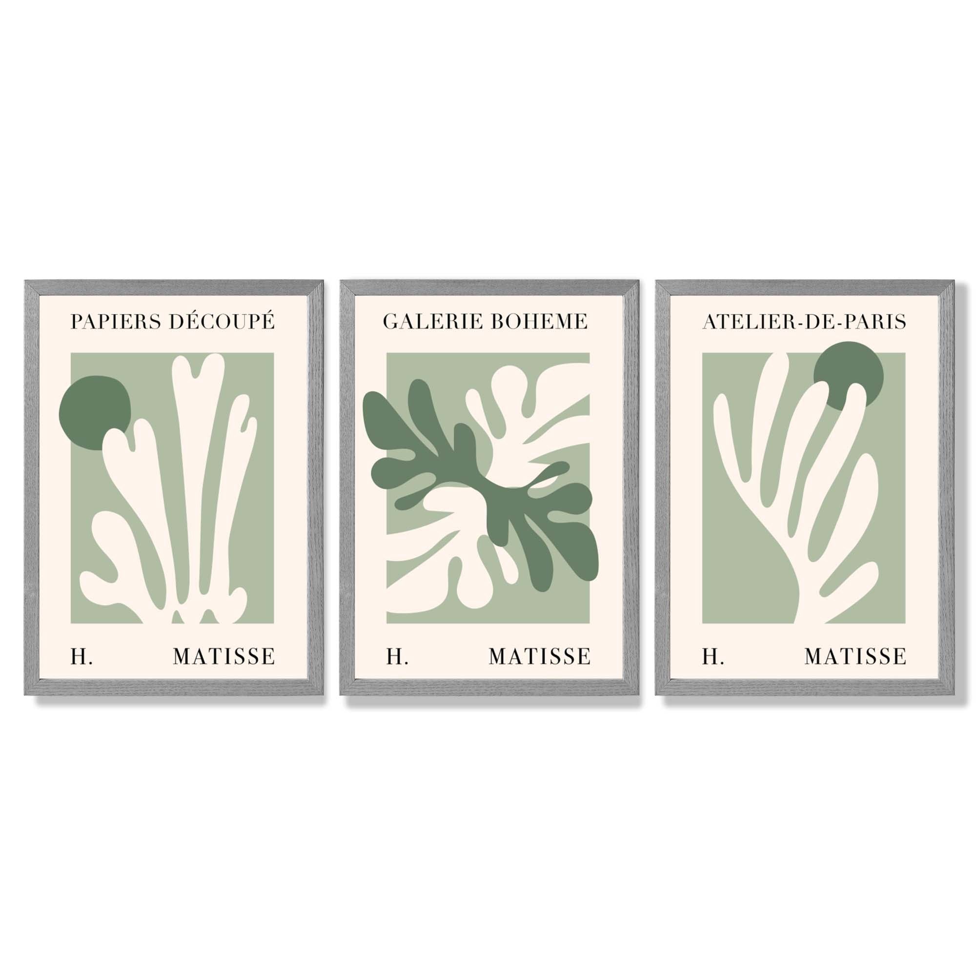 Set of 3 Matisse Cutout Botanical Sage Green and Cream Framed Wall Art with Light Grey Wooden Frames