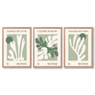 Set of 3 Matisse Cutout Botanical Sage Green and Cream Framed Wall Art with Light Oak Frames