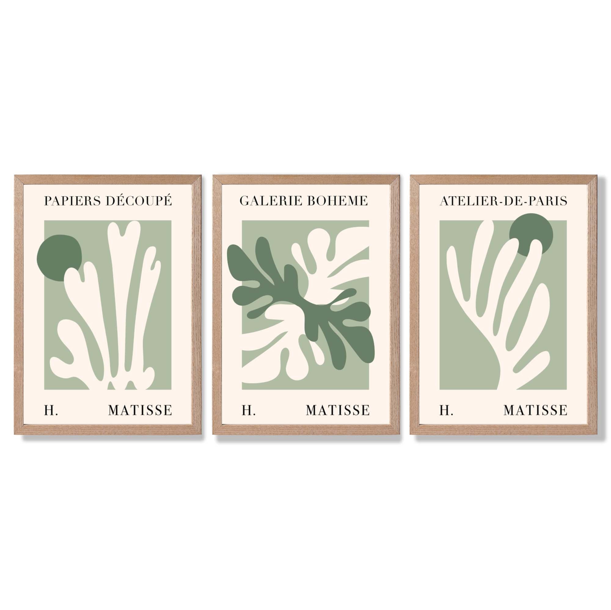Set of 3 Matisse Cutout Botanical Sage Green and Cream Framed Wall Art with Light Oak Frames