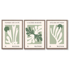 Set of 3 Matisse Cutout Botanical Sage Green and Cream Framed Wall Art with Light Walnut Frames