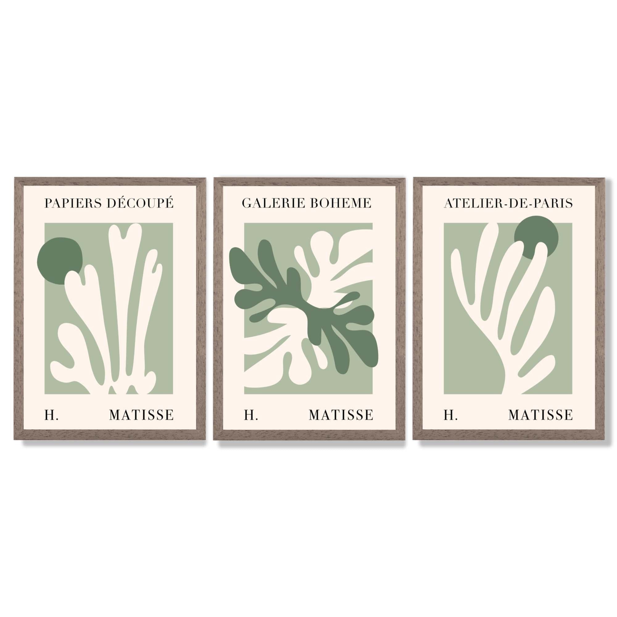 Set of 3 Matisse Cutout Botanical Sage Green and Cream Framed Wall Art with Light Walnut Frames