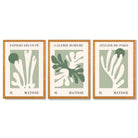 Set of 3 Matisse Cutout Botanical Sage Green and Cream Framed Wall Art with Oak Wooden Frames