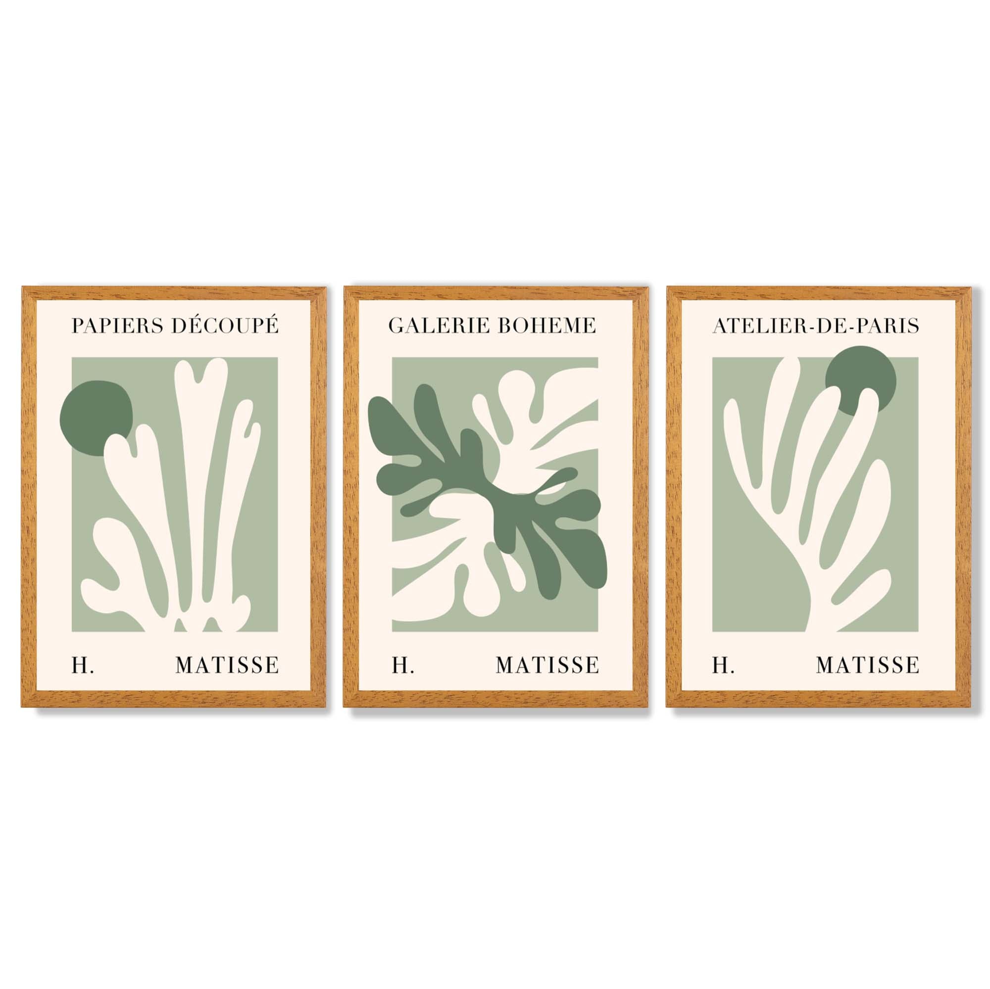 Set of 3 Matisse Cutout Botanical Sage Green and Cream Framed Wall Art with Oak Wooden Frames