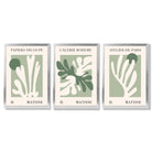 Set of 3 Matisse Cutout Botanical Sage Green and Cream Framed Wall Art with Silver Wood Frames