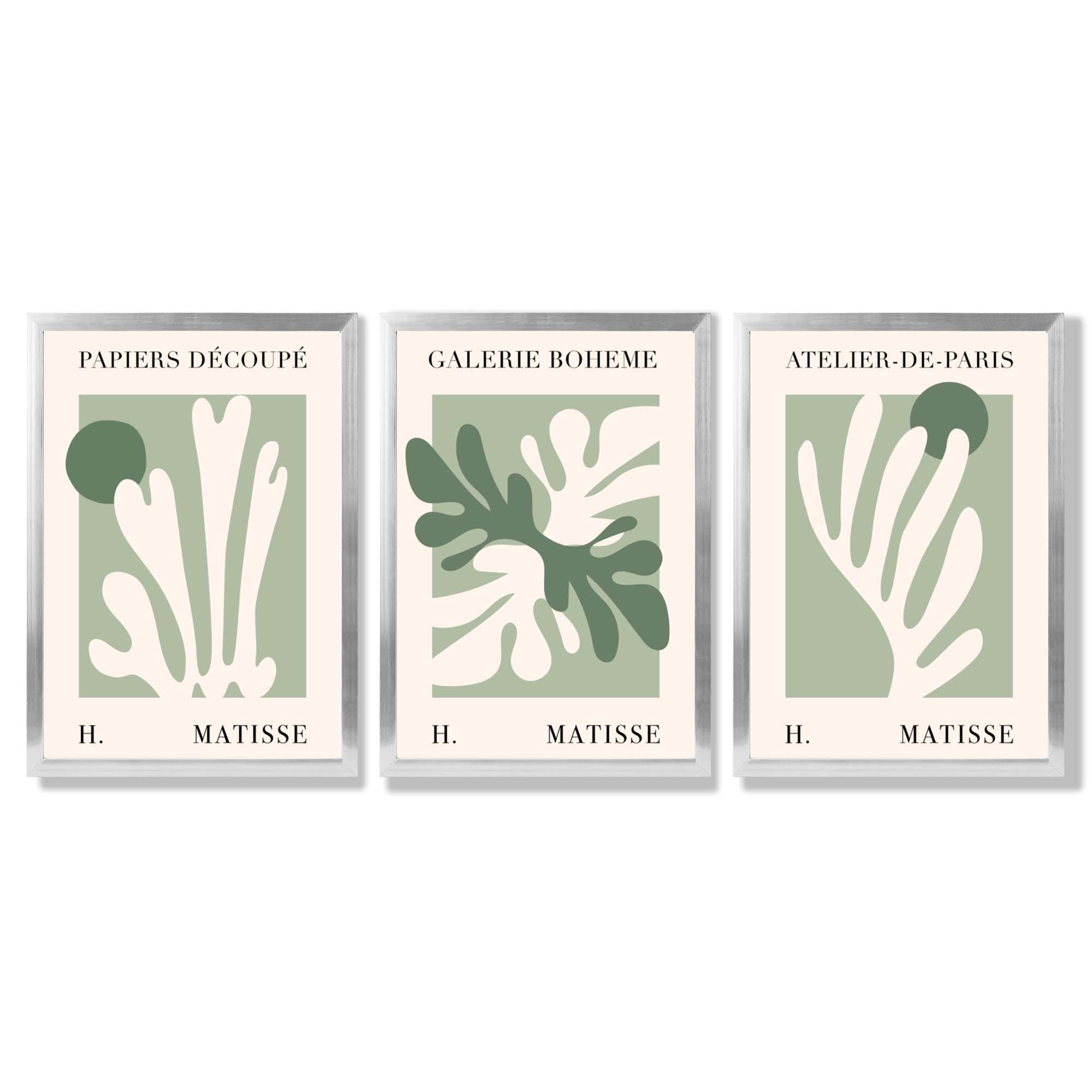 Set of 3 Matisse Cutout Botanical Sage Green and Cream Framed Wall Art with Silver Wood Frames