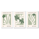 Set of 3 Matisse Cutout Botanical Sage Green and Cream Framed Wall Art with White Wooden Frames