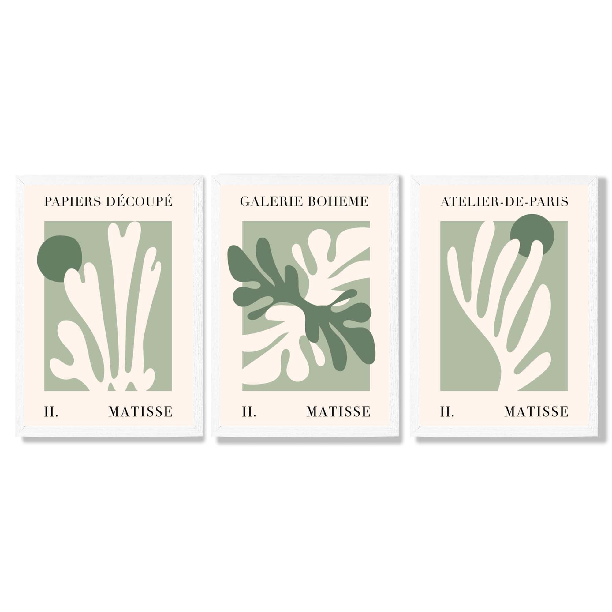 Set of 3 Matisse Cutout Botanical Sage Green and Cream Framed Wall Art with White Wooden Frames
