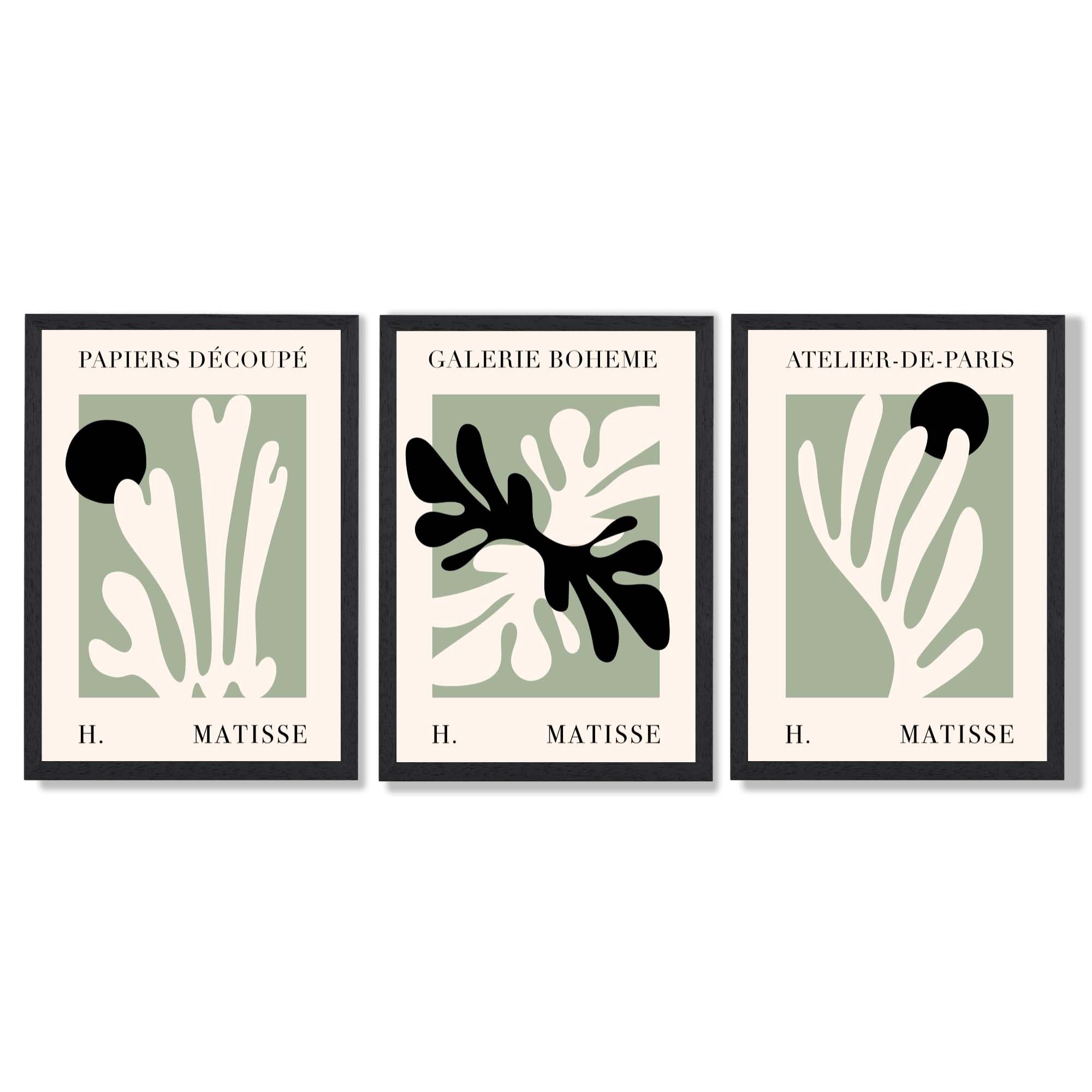 Set of 3 Matisse Cutout Botanical Sage Green and Black Art Prints in Black Frames | Artze UK