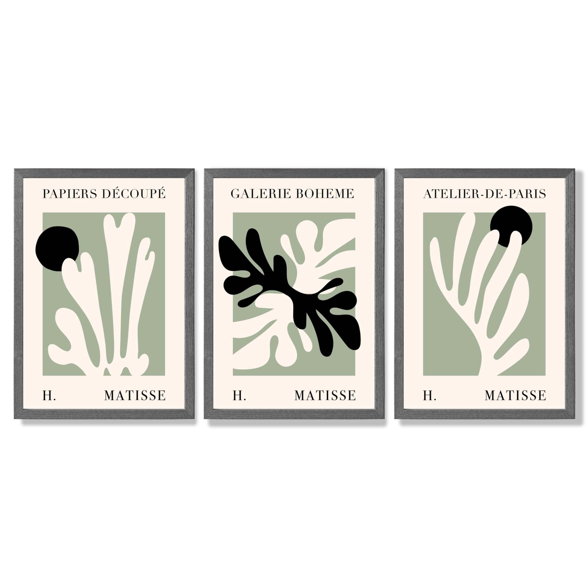 Set of 3 Matisse Cutout Botanical Sage Green and Black Framed Wall Art with Dark Grey Wooden Frames