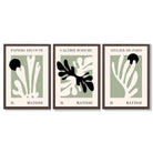 Set of 3 Matisse Cutout Botanical Sage Green and Black Framed Wall Art with Dark Wood Frames