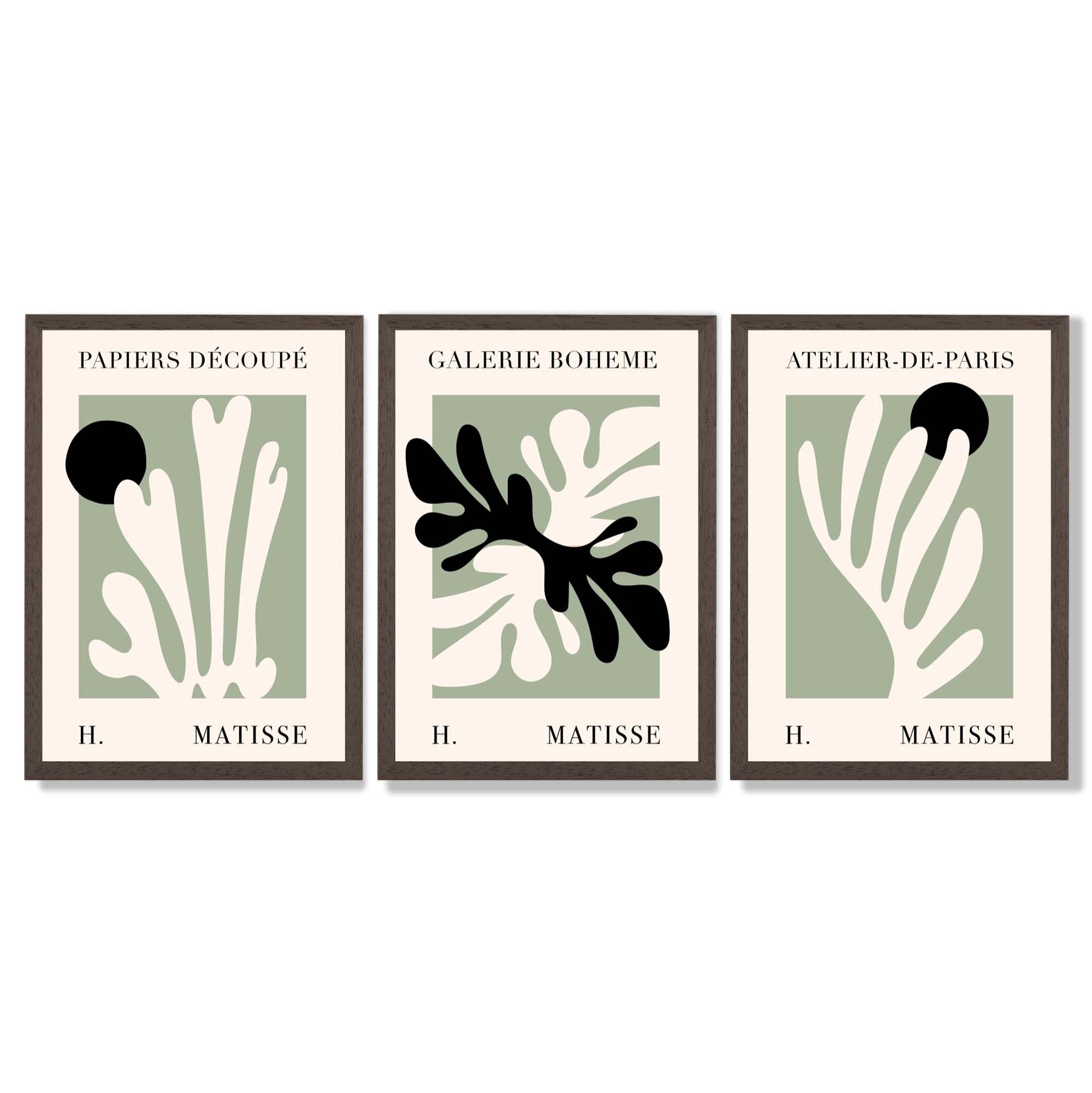 Set of 3 Matisse Cutout Botanical Sage Green and Black Framed Wall Art with Dark Wood Frames
