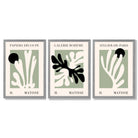 Set of 3 Matisse Cutout Botanical Sage Green and Black Framed Wall Art with Light Grey Wooden Frames