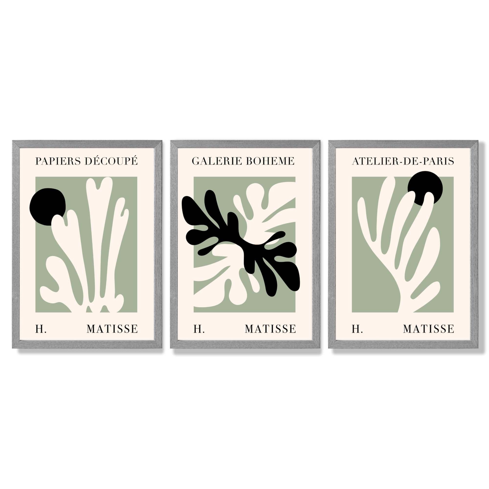 Set of 3 Matisse Cutout Botanical Sage Green and Black Framed Wall Art with Light Grey Wooden Frames