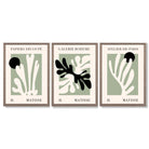 Set of 3 Matisse Cutout Botanical Sage Green and Black Framed Wall Art with Light Walnut Frames