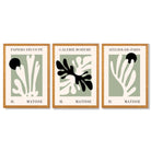 Set of 3 Matisse Cutout Botanical Sage Green and Black Framed Wall Art with Oak Wooden Frames