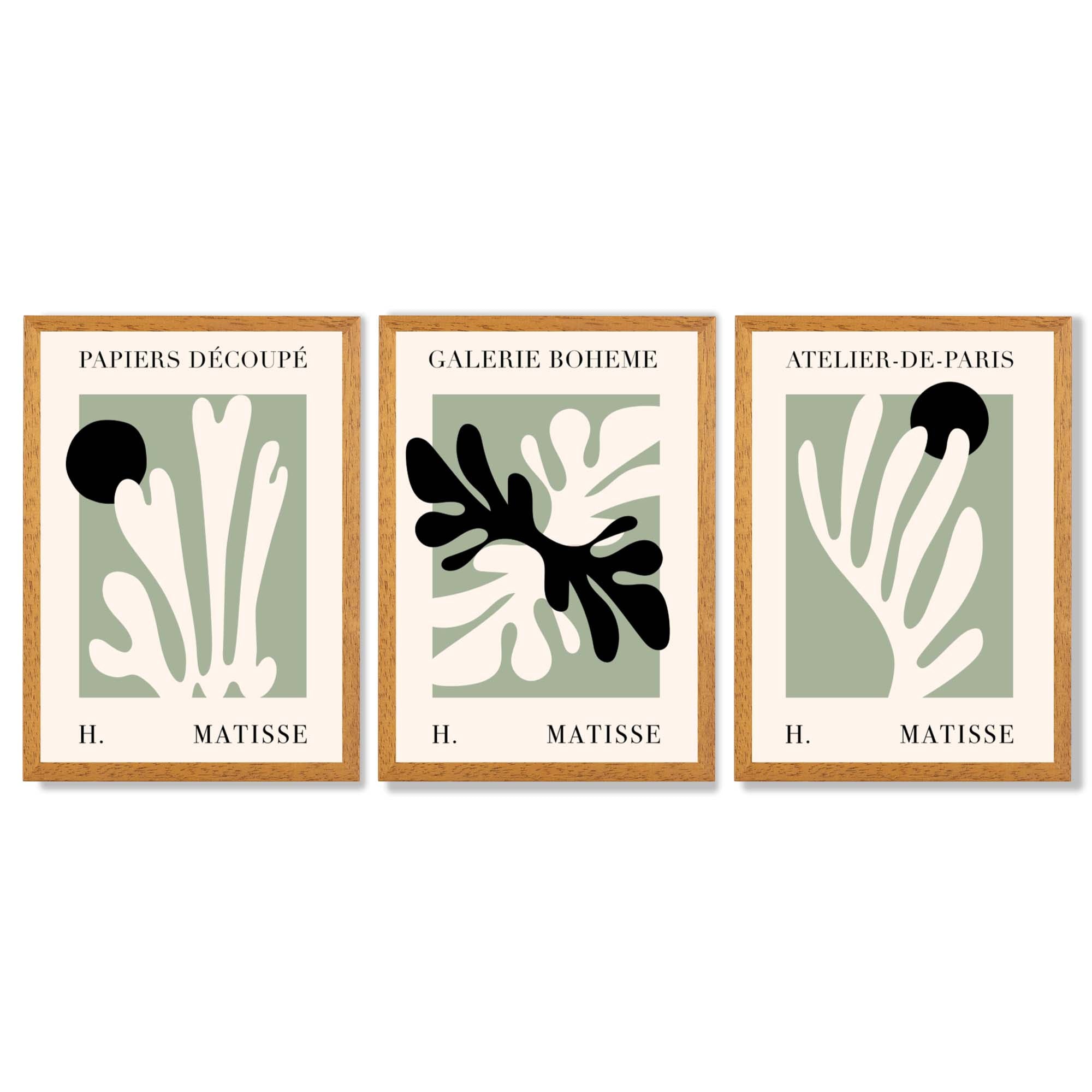 Set of 3 Matisse Cutout Botanical Sage Green and Black Framed Wall Art with Oak Wooden Frames