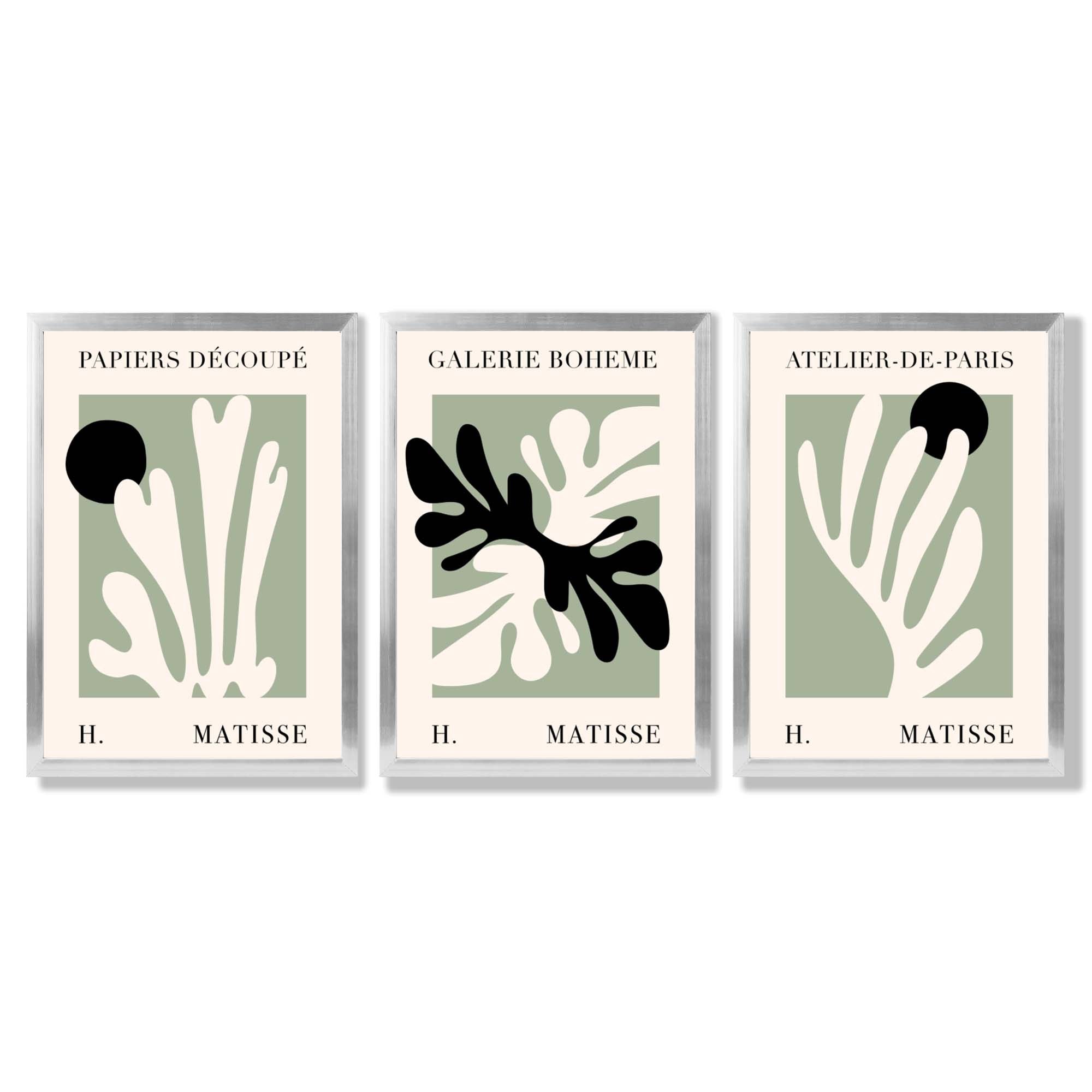 Set of 3 Matisse Cutout Botanical Sage Green and Black Framed Wall Art with Silver Wood Frames