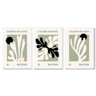 Set of 3 Matisse Cutout Botanical Sage Green and Black Framed Wall Art with White Wooden Frames