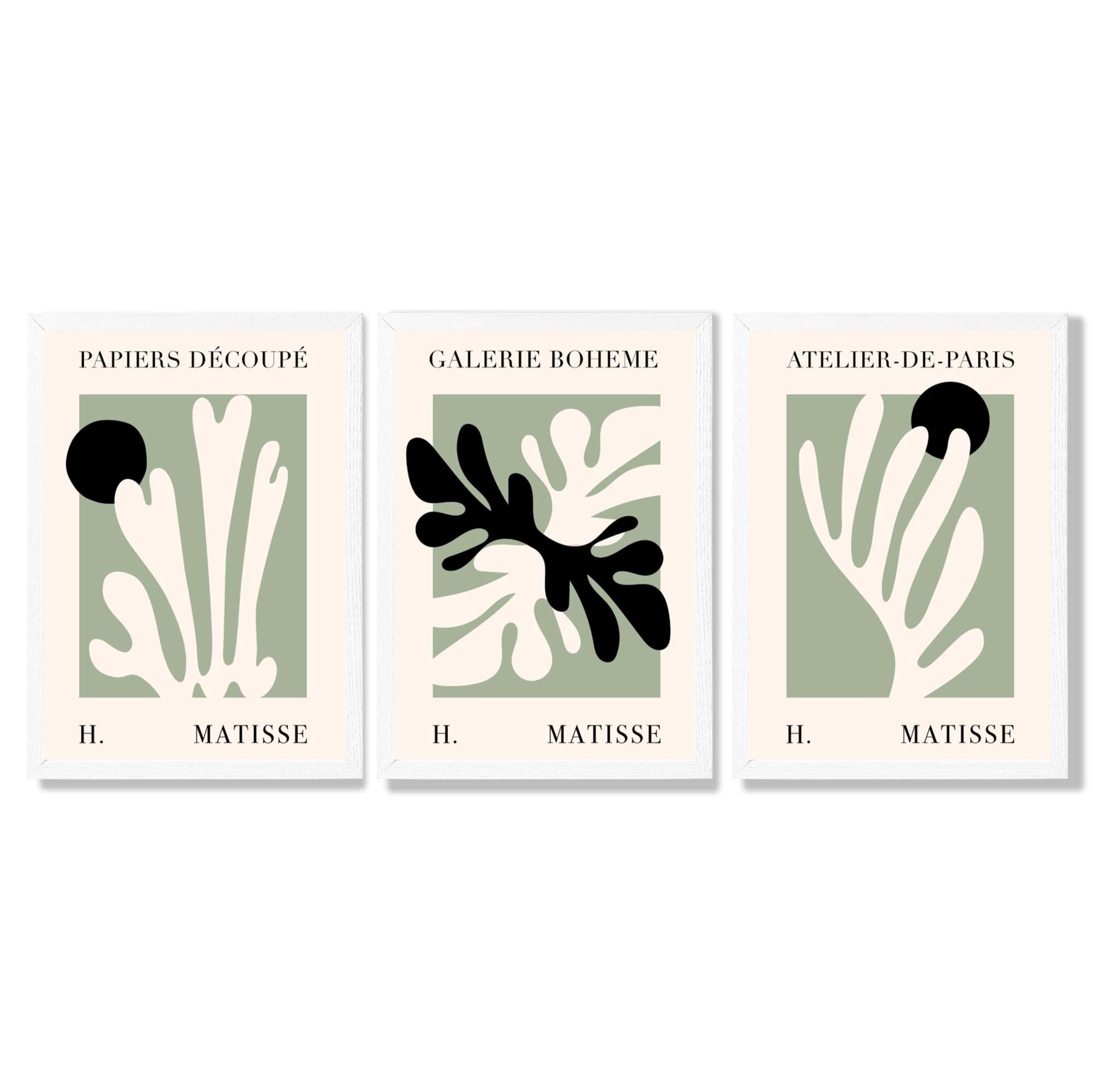 Set of 3 Matisse Cutout Botanical Sage Green and Black Framed Wall Art with White Wooden Frames