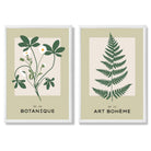Sage Green Botanical Illustration Set of 2 Art Prints with White Frame