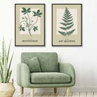 Set of 2 Sage Green Botanical Illustration Prints | Artze Wall Art UK