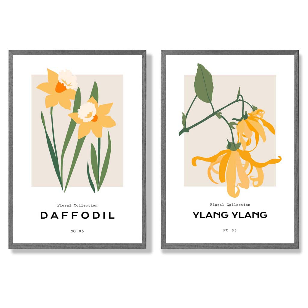 Yellow Daffodil Flower Illustration Set of 2 Art Prints with Dark Grey Frame