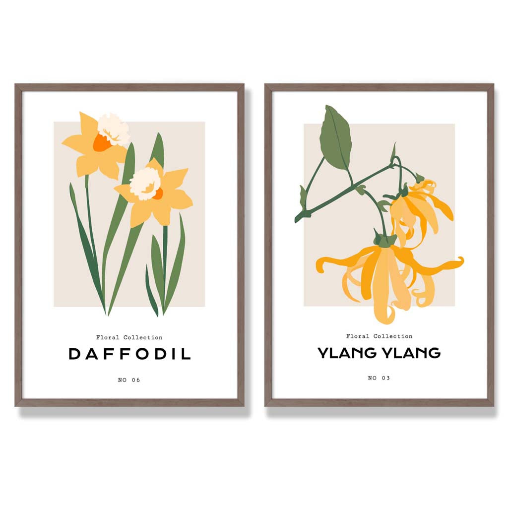 Yellow Daffodil Flower Illustration Set of 2 Art Prints with Walnut Frame