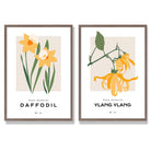 Yellow Daffodil Flower Illustration Set of 2 Art Prints with Walnut Frame
