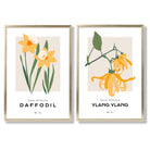 Yellow Daffodil Flower Illustration Set of 2 Art Prints with Gold Frame