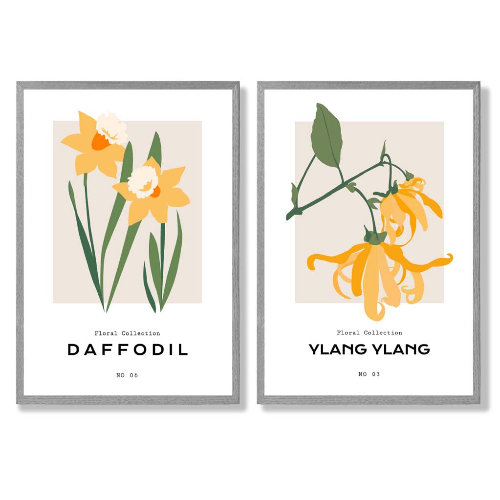 Yellow Daffodil Flower Illustration Set of 2 Art Prints with Light Grey Frame
