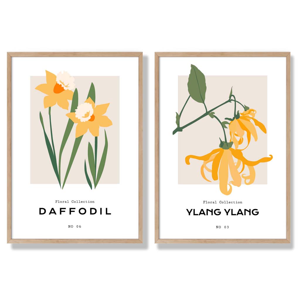Yellow Daffodil Flower Illustration Set of 2 Art Prints with Oak Frame