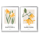 Yellow Daffodil Flower Illustration Set of 2 Art Prints with Silver Frame