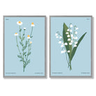 Blue Wild Flower Illustration Set of 2 Art Prints with Light Grey Frame