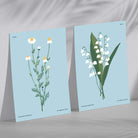 Blue Wild Flower Illustration Set of 2 Art Prints
