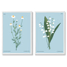 Blue Wild Flower Illustration Set of 2 Art Prints with White Frame
