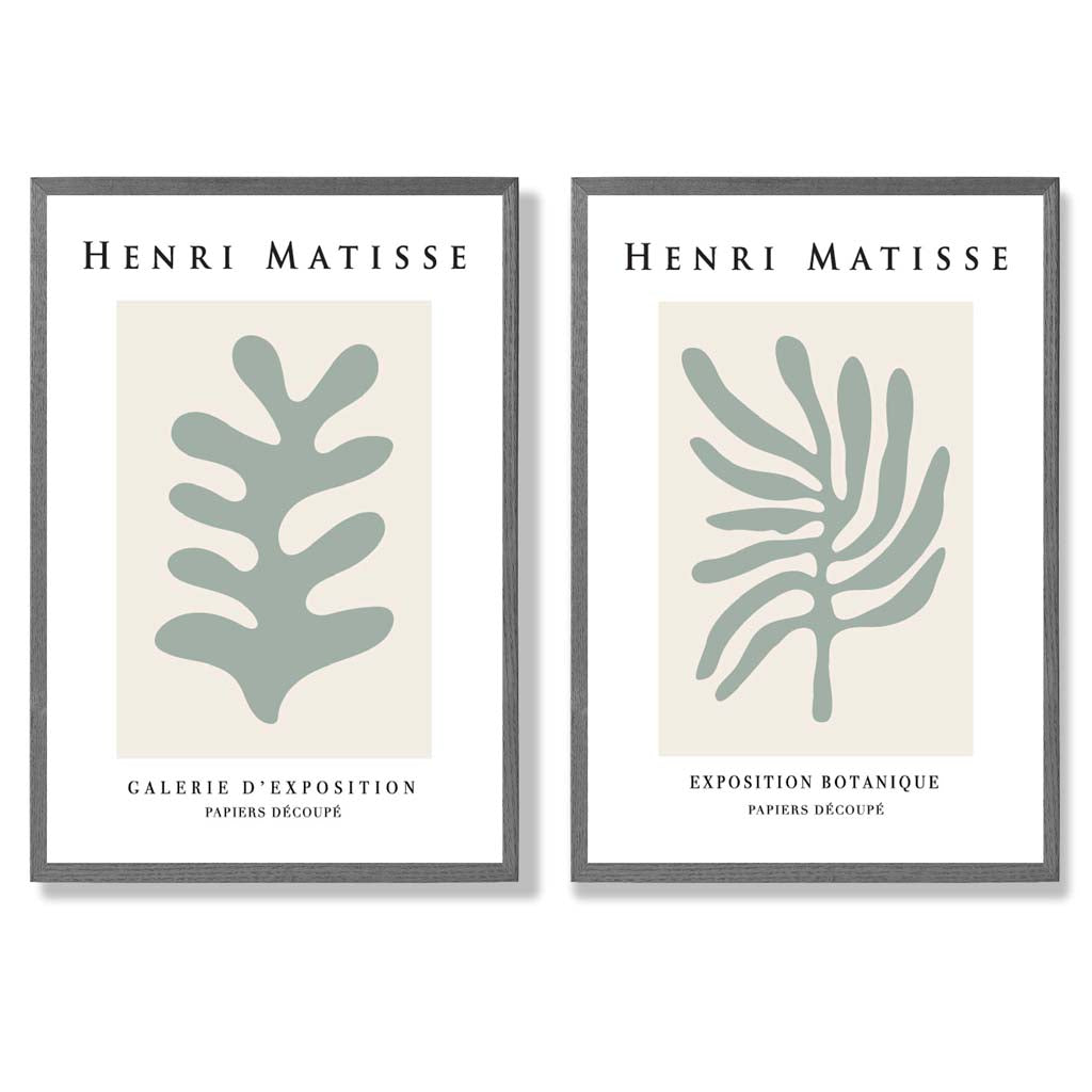 Matisse Botanical in Sage Green Set of 2 Art Prints with Dark Grey Frame