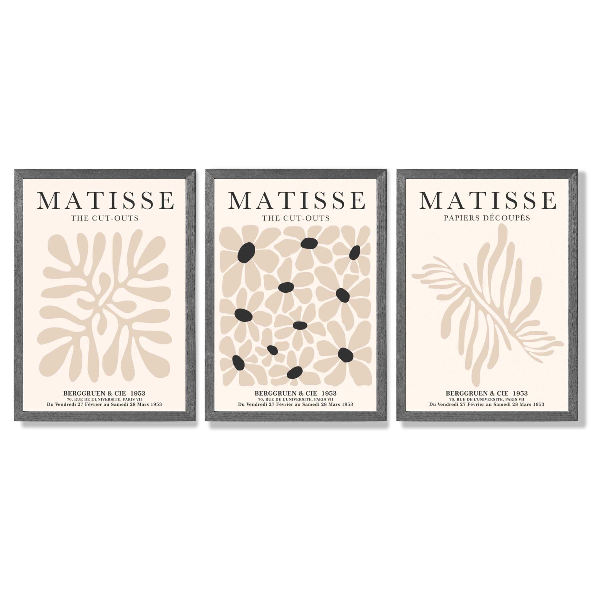 Set of 3 Matisse Floral Neutral Beige Framed Wall Art with Dark Grey Wooden Frames
