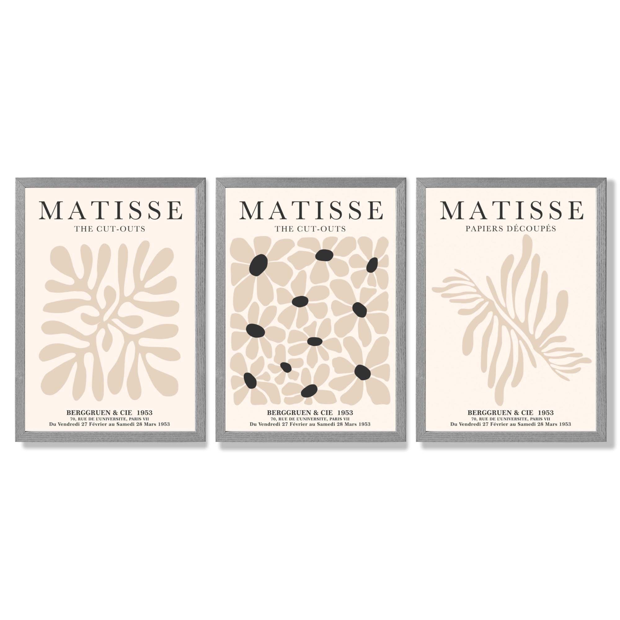 Set of 3 Matisse Floral Neutral Beige Framed Wall Art with Light Grey Wooden Frames