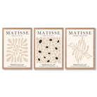 Set of 3 Matisse Floral Neutral Beige Framed Wall Art with Light Oak Frames