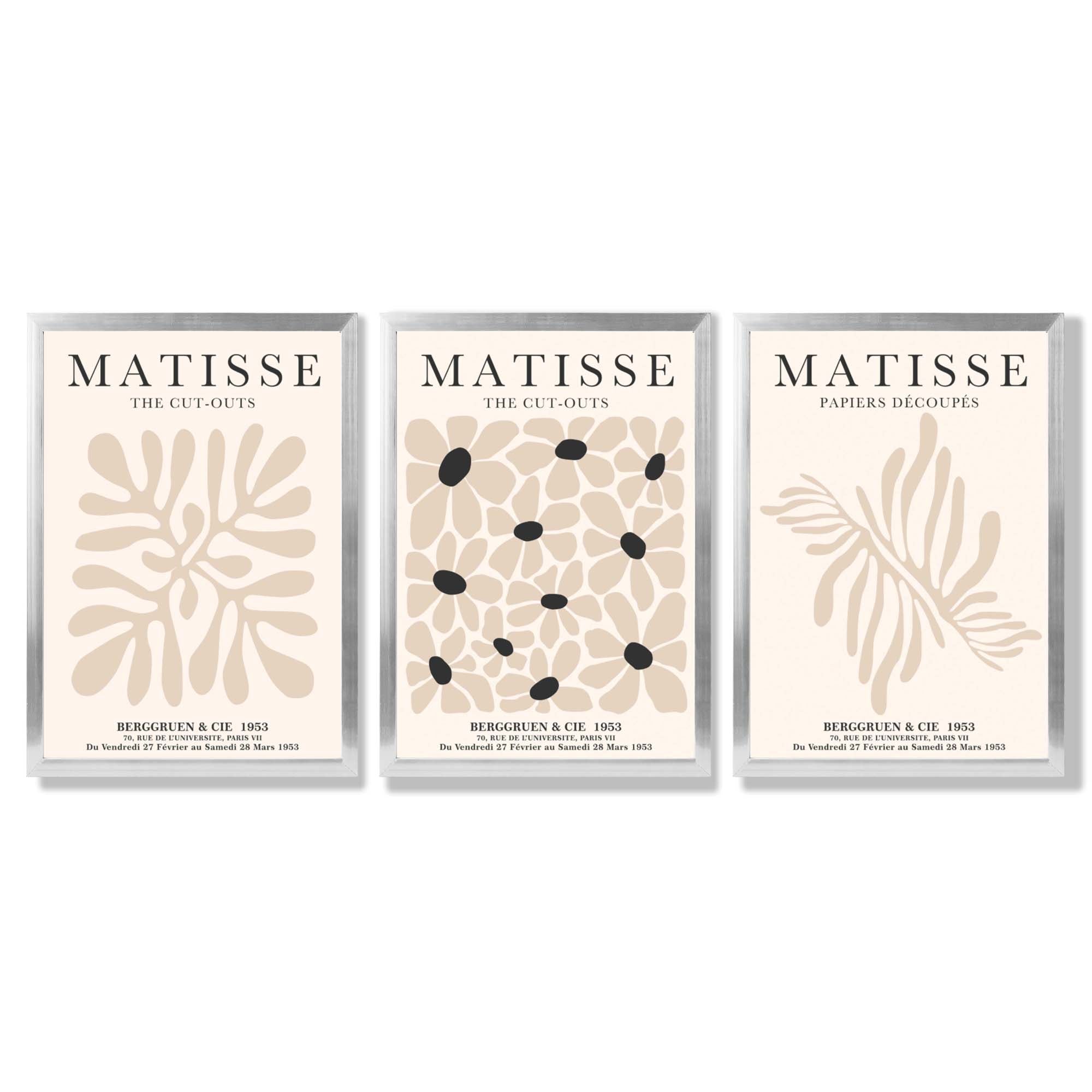 Set of 3 Matisse Floral Neutral Beige Framed Wall Art with Silver Wood Frames