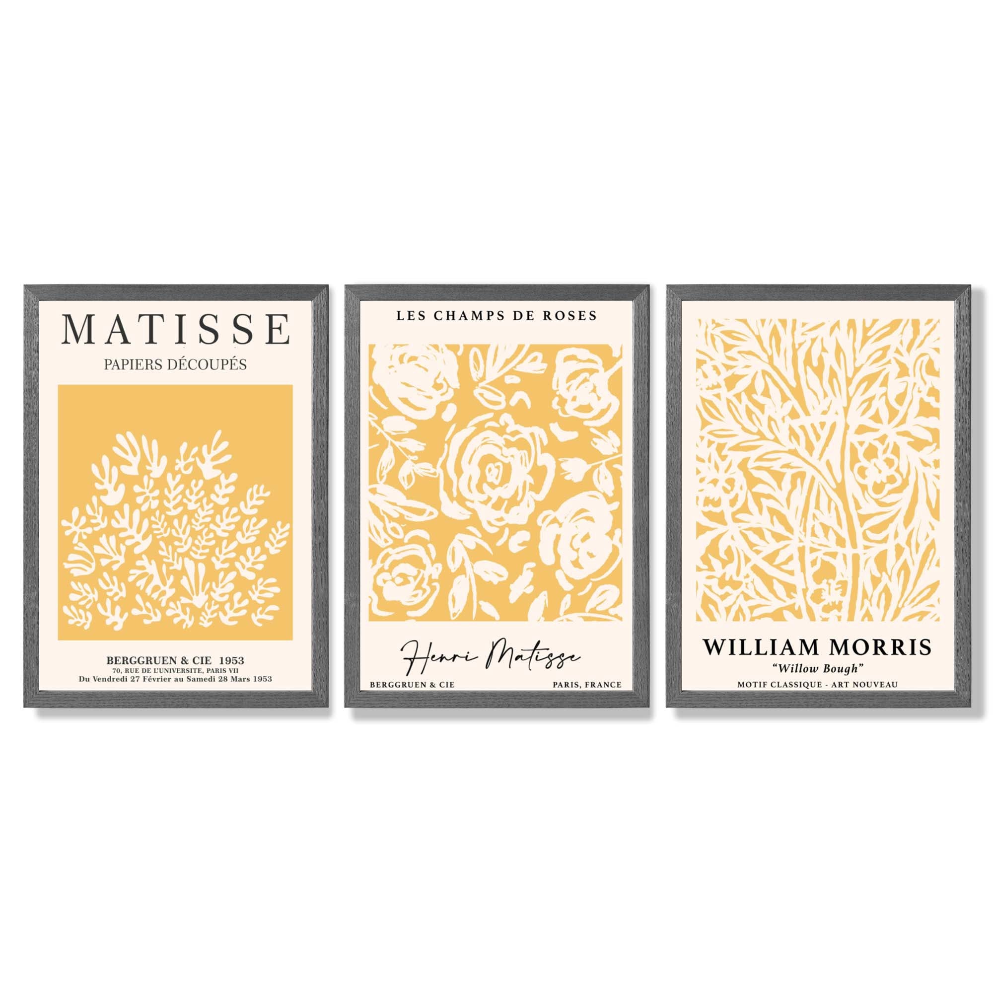 Set of 3 Matisse & William Morris Floral in Yellow Framed Wall Art with Dark Grey Wooden Frames