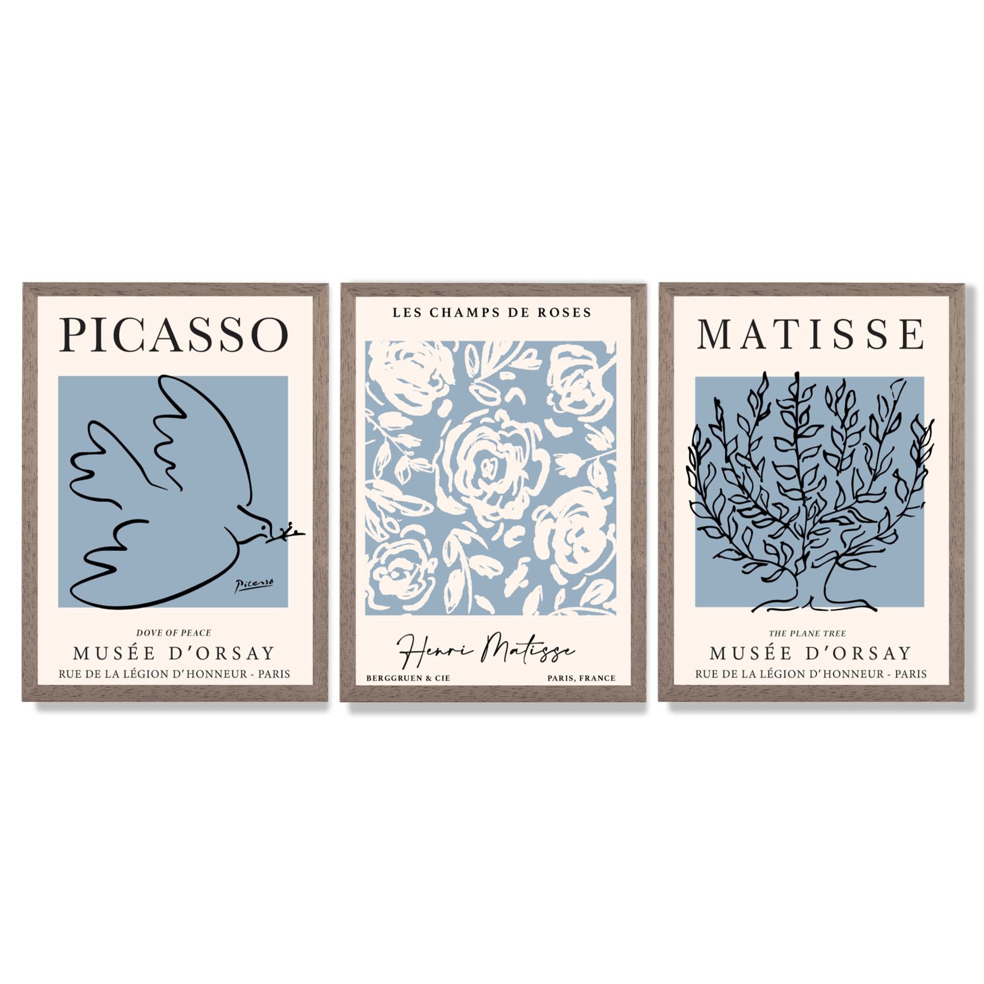 Set of 3 Minimal Picasso,Matisse Light Blue Nature Themed Framed Wall Art with Light Walnut Frames