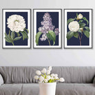 Vintage Flowers Lilac, Peony and Camellia Set of 3 Wall Art Prints