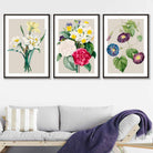 Vintage Spring Flowers Daffodil Set of 3 Wall Art Prints