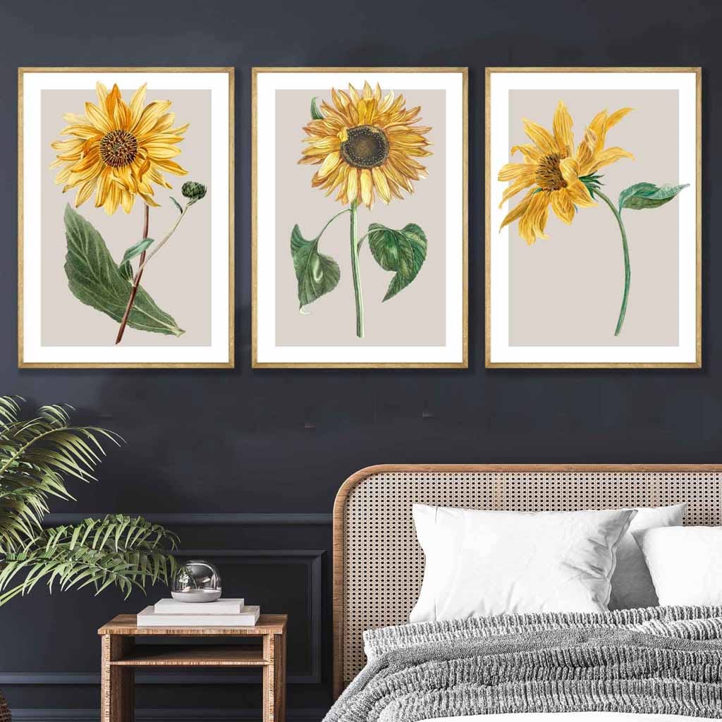 Vintage Sunflowers Set of 3 Wall Art Prints