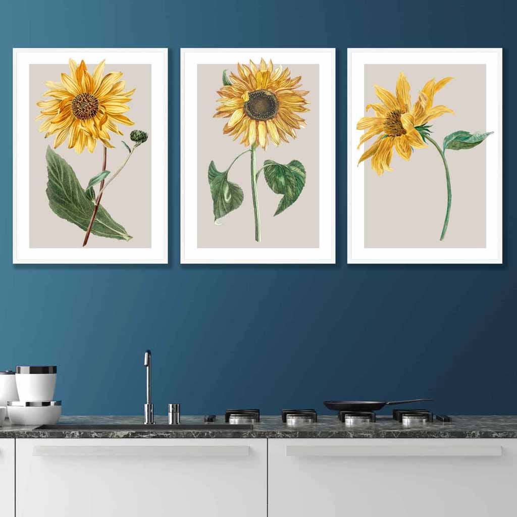 Vintage Sunflowers Set of 3 Wall Art Prints