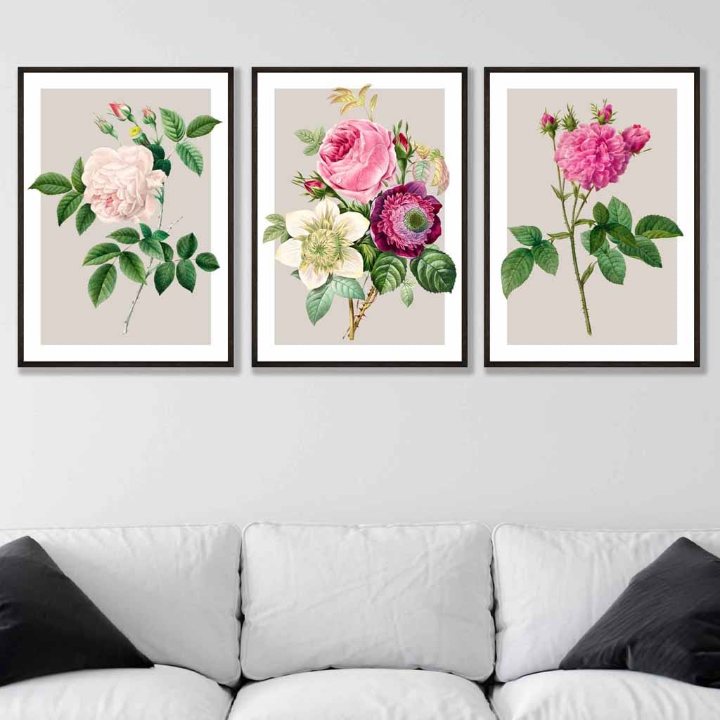 Vintage Pink and White Roses Set of 3 Wall Art Prints