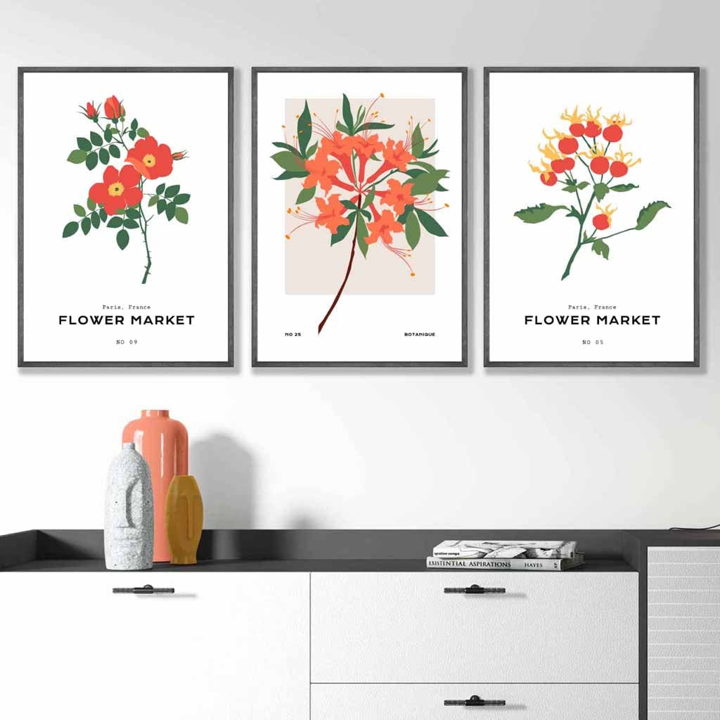 Set of 3 Vintage Graphical Orange Flower Market Wall Art Prints