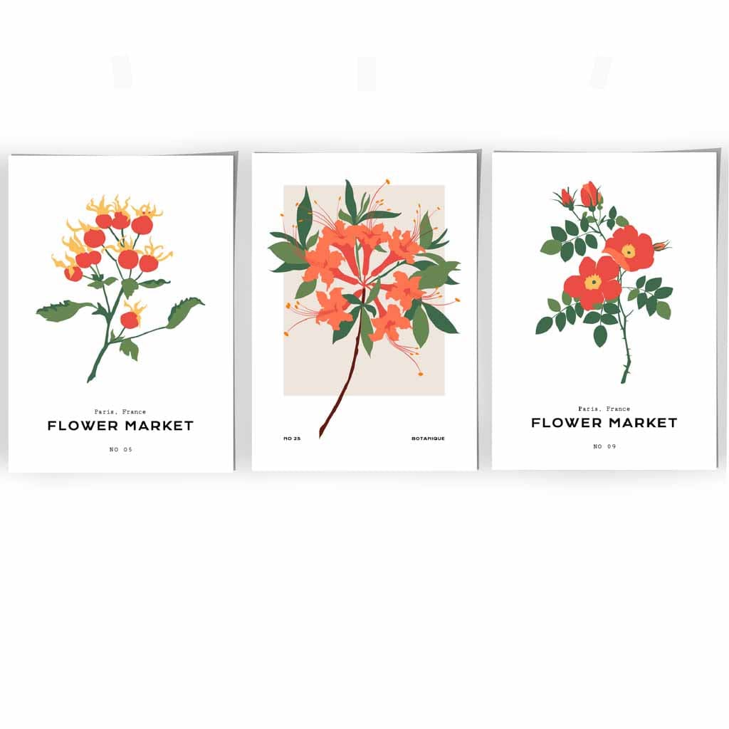 Set of 3 Vintage Graphical Orange Flower Market Wall Art Prints